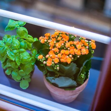 Monolocale Vicino Alla Stazione E All'expo Апартаменты