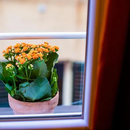 Monolocale Vicino Alla Stazione E All'expo * Генуя